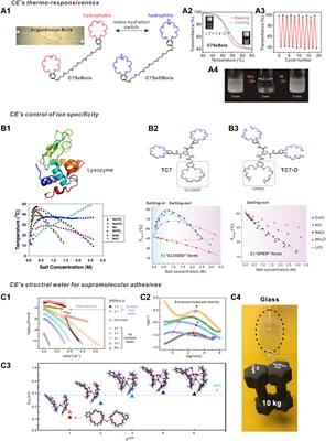 The aqueous supramolecular chemistry of crown ethers